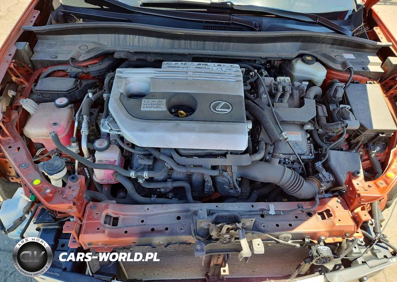 2019 Lexus Ux 250H VIN:JTHU9JBH9K2004036 - 11