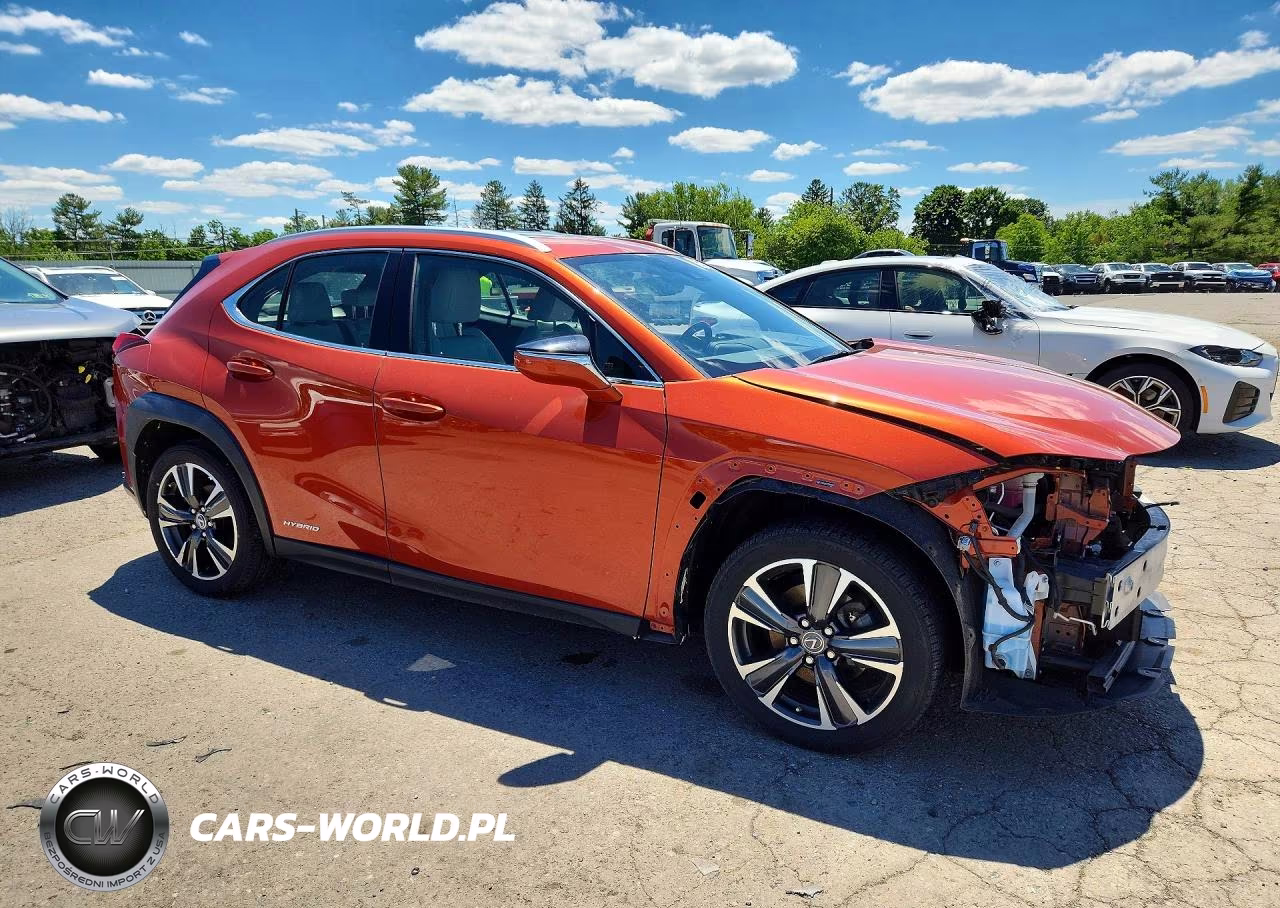 2019 Lexus Ux 250H VIN:JTHU9JBH9K2004036 - 4