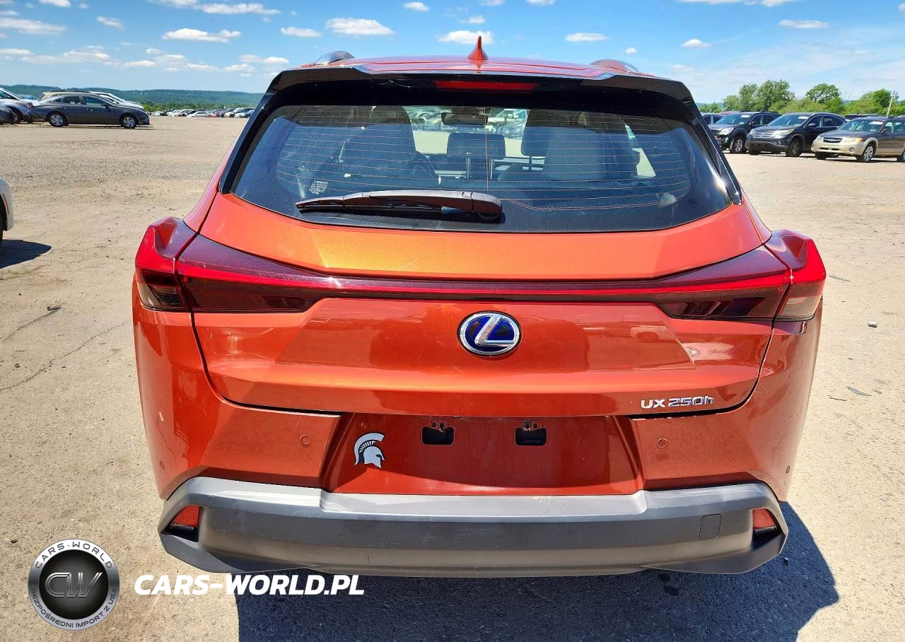 2019 Lexus Ux 250H VIN:JTHU9JBH9K2004036 - 6