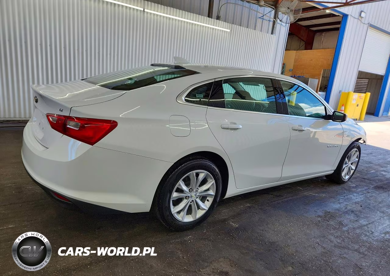 2023 Chevrolet Malibu Lt VIN:1G1ZD5ST2PF169517 - 3