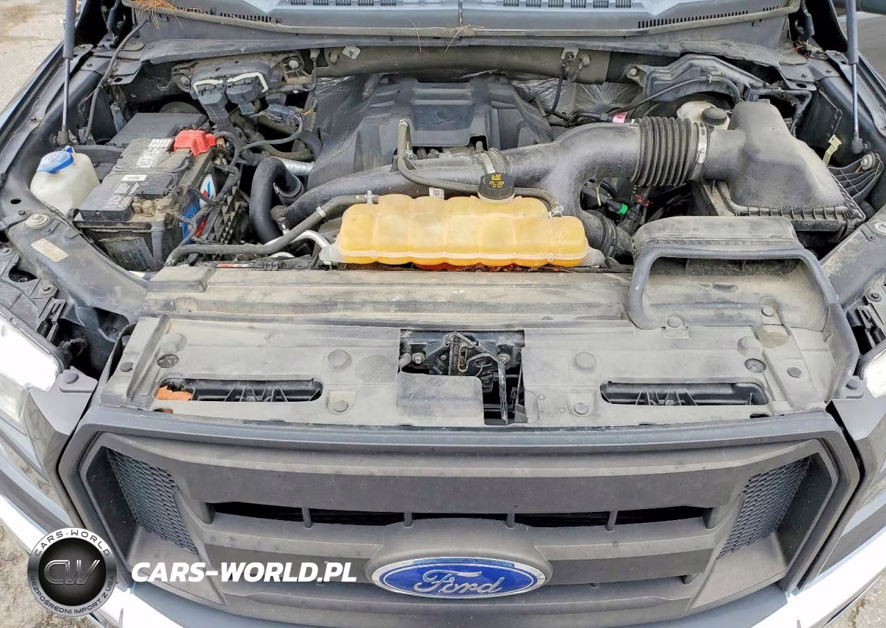 2016 Ford F150 Supercrew VIN:1FTEW1EP5GFA84324 - 11