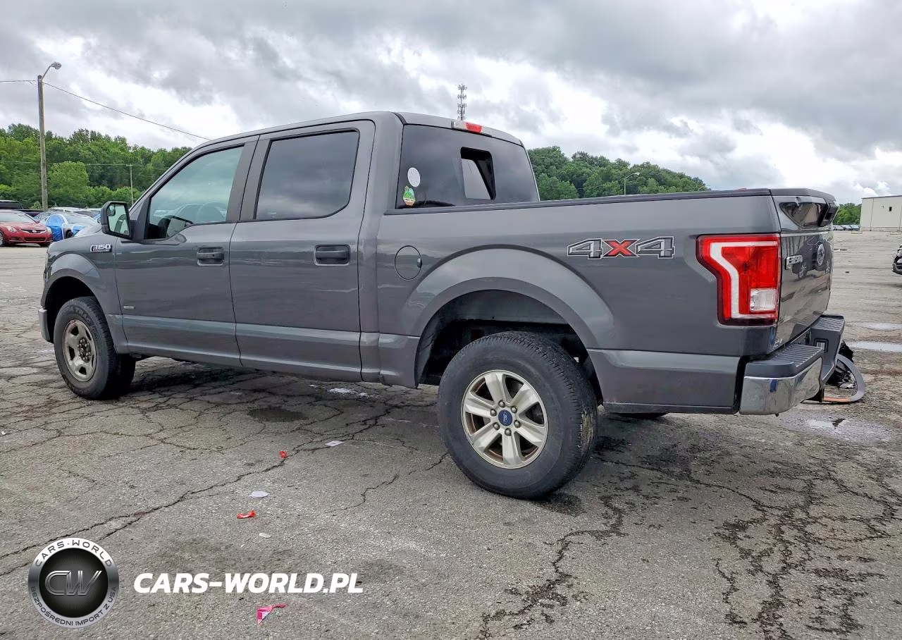 2016 Ford F150 Supercrew VIN:1FTEW1EP5GFA84324 - 2