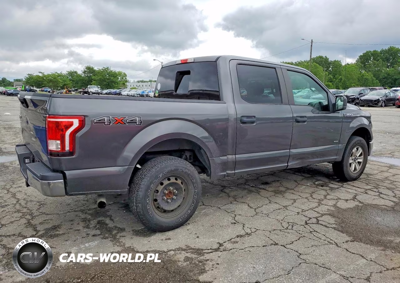 2016 Ford F150 Supercrew VIN:1FTEW1EP5GFA84324 - 3