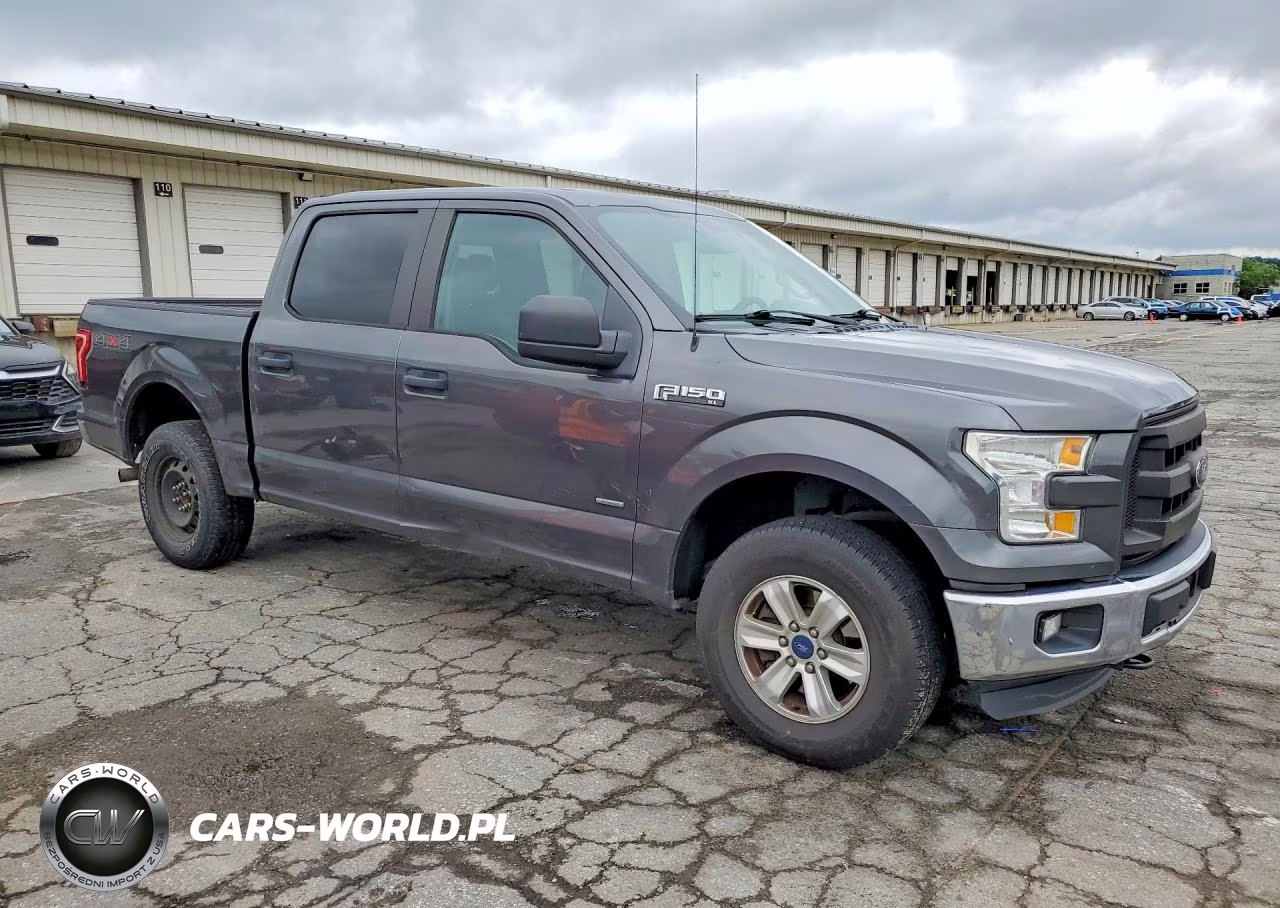 2016 Ford F150 Supercrew VIN:1FTEW1EP5GFA84324 - 4