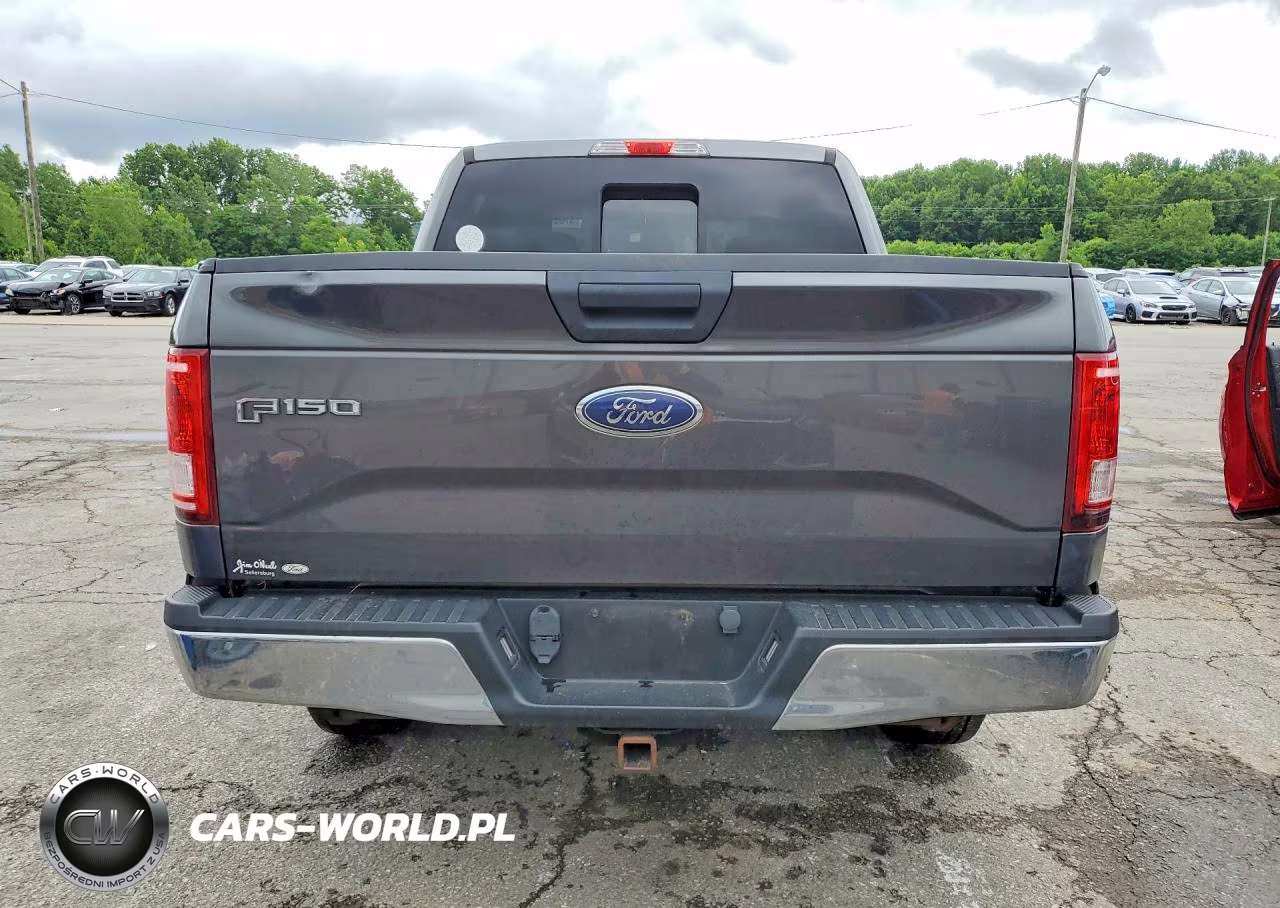 2016 Ford F150 Supercrew VIN:1FTEW1EP5GFA84324 - 6
