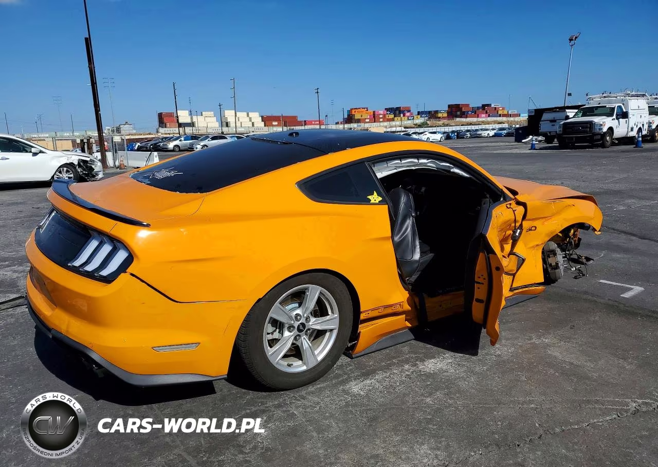 2019 Ford Mustang Gt VIN:1FA6P8CF7K5158254 - 3