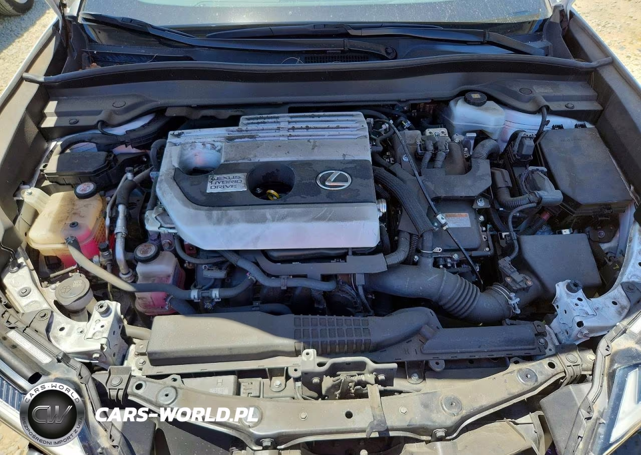 2019 Lexus Ux 250H VIN:JTHU9JBH4K2006826 - 12