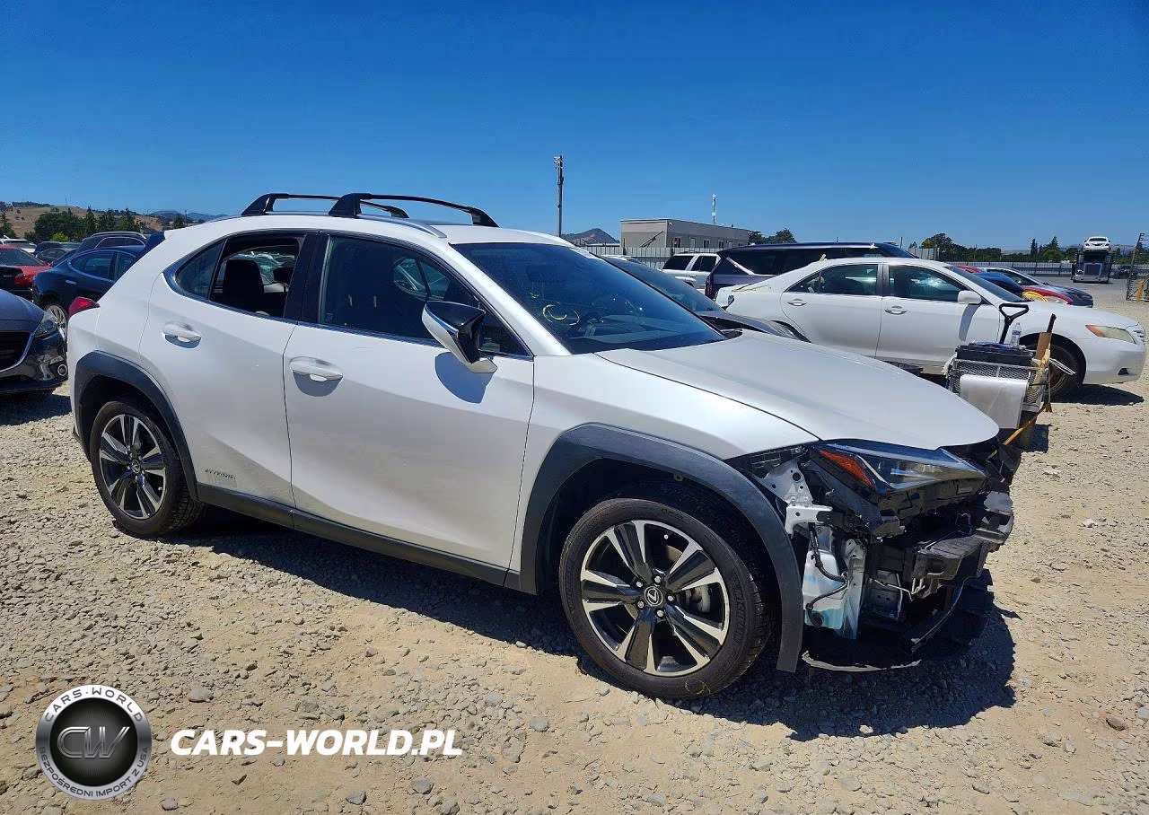 2019 Lexus Ux 250H VIN:JTHU9JBH4K2006826 - 4