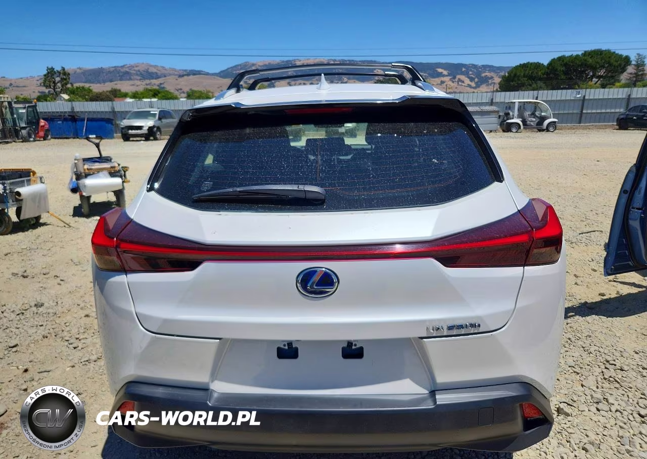 2019 Lexus Ux 250H VIN:JTHU9JBH4K2006826 - 6