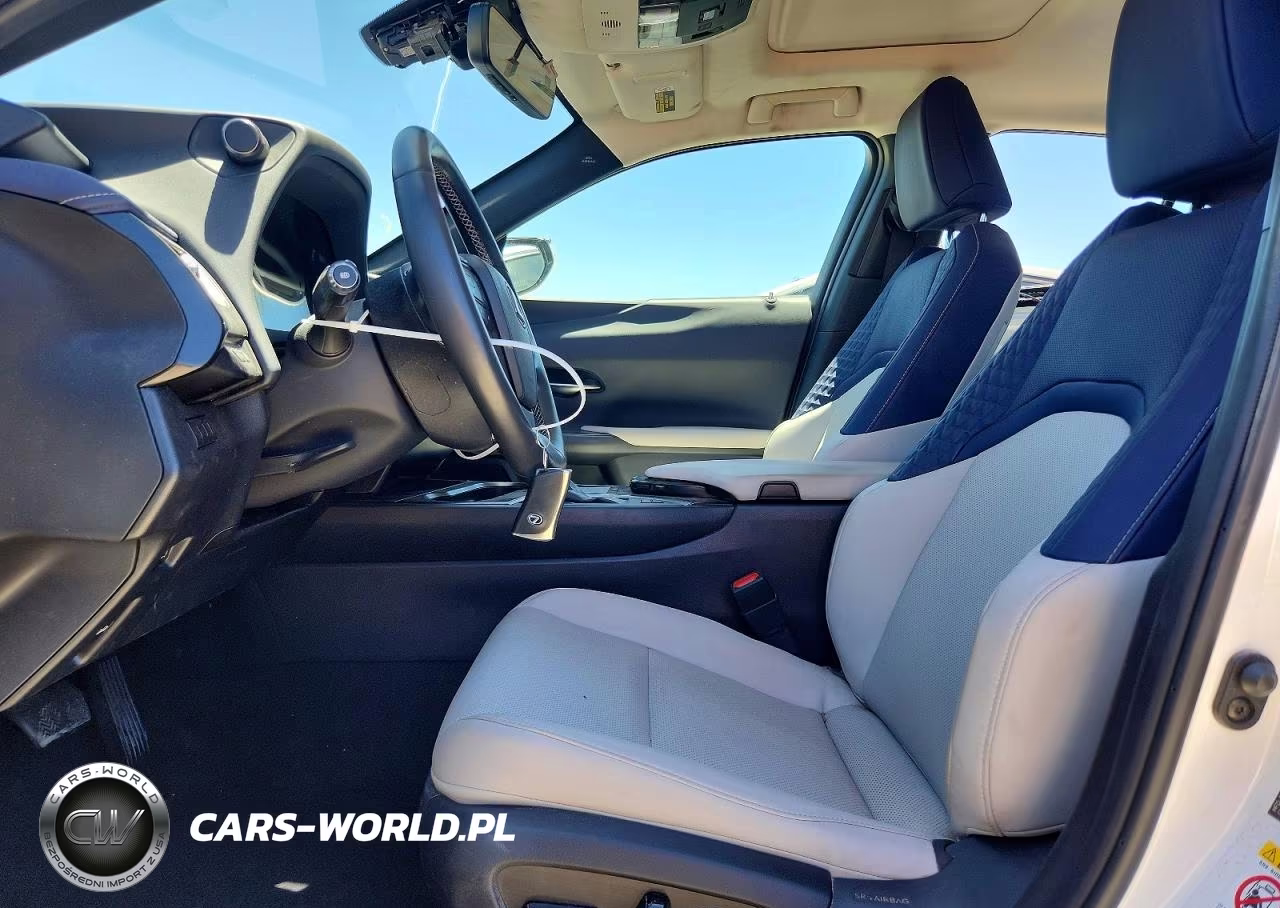 2019 Lexus Ux 250H VIN:JTHU9JBH4K2006826 - 7