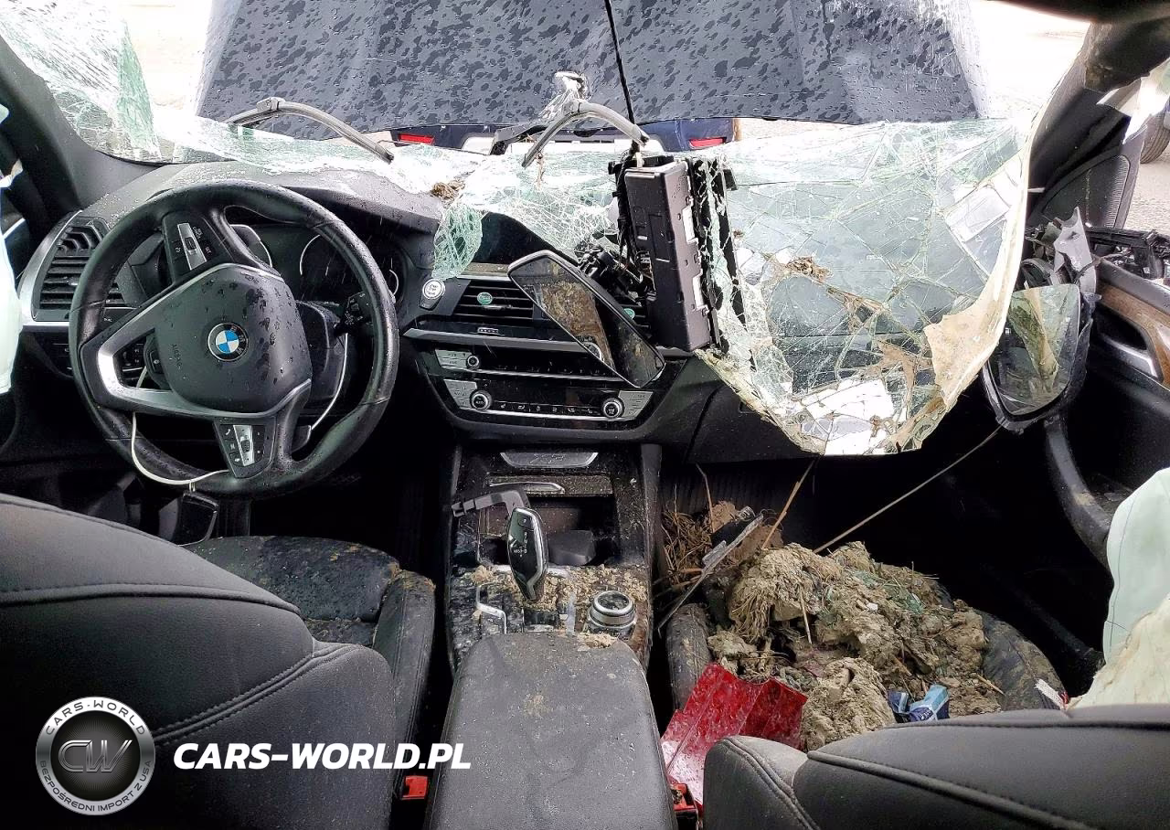 2020 BMW X3 xDrive30I VIN:5UXTY5C03L9B97164 - 8