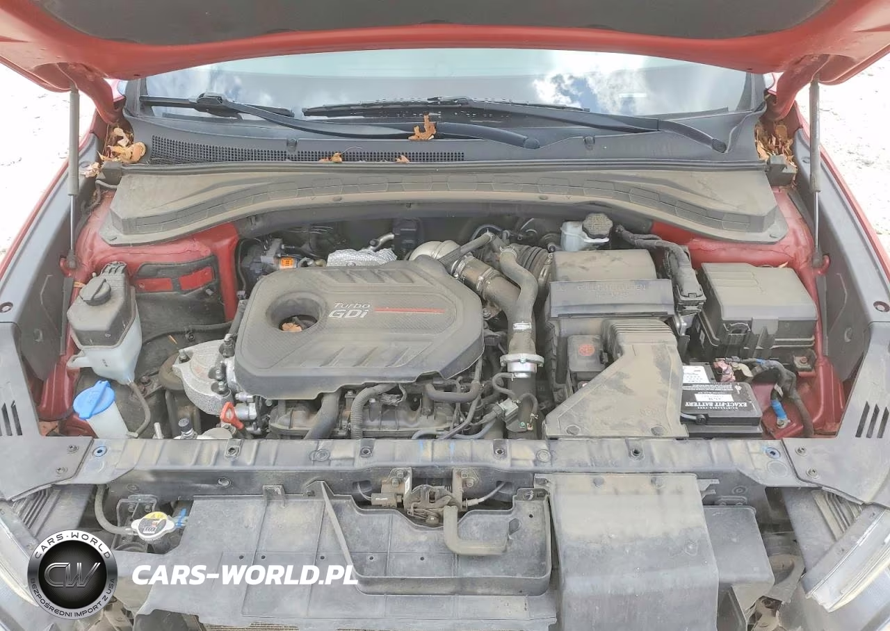 2019 Hyundai Santa Fe Ultimate 2.0T VIN:5NMS53AA3KH028851 - 12