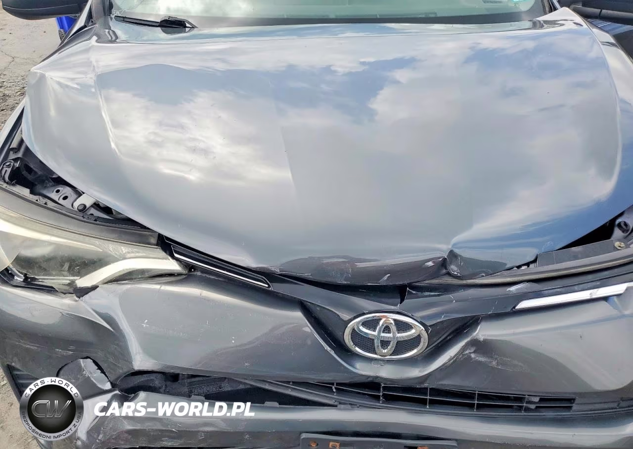 2016 Toyota Rav4 Le VIN:JTMBFREVXGD181028 - 12