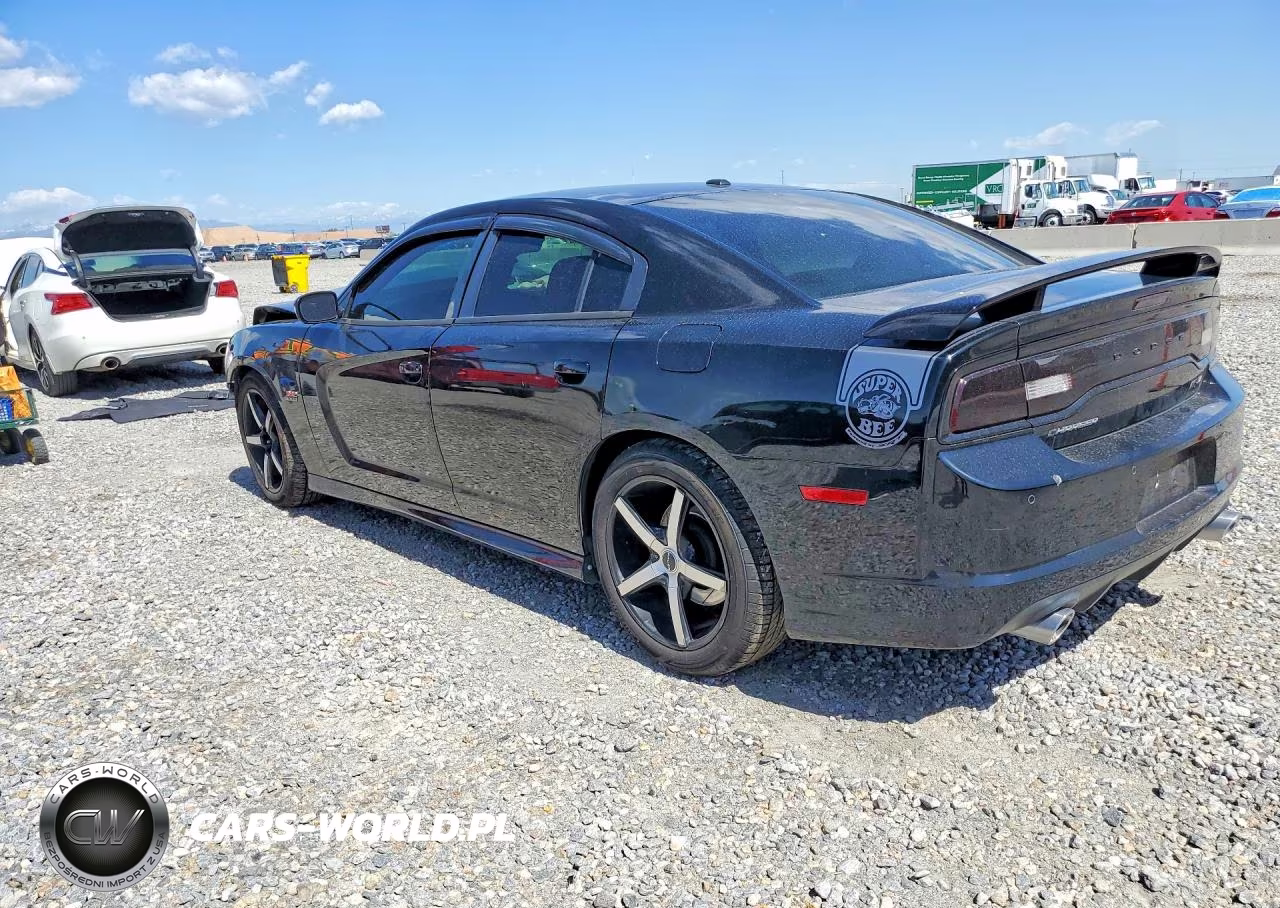 2013 Dodge Charger Super Bee VIN:2C3CDXGJ9DH506425 - 2
