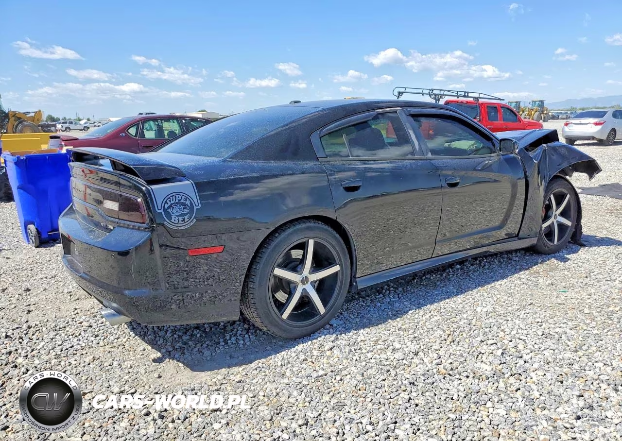 2013 Dodge Charger Super Bee VIN:2C3CDXGJ9DH506425 - 3