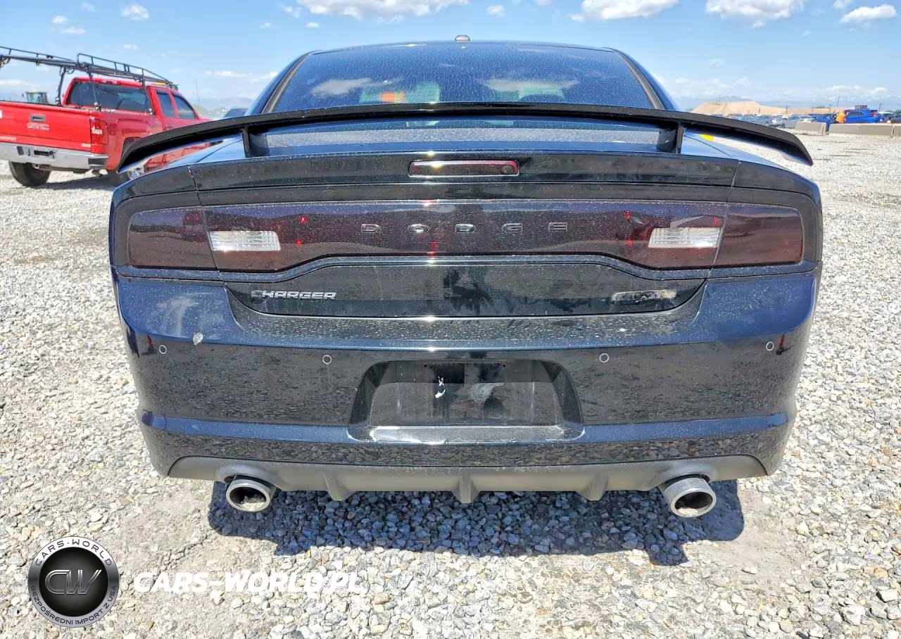 2013 Dodge Charger Super Bee VIN:2C3CDXGJ9DH506425 - 6