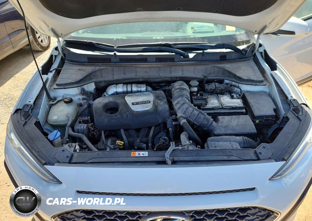2019 Hyundai Kona Ultimate VIN:KM8K53A53KU360618 - 12