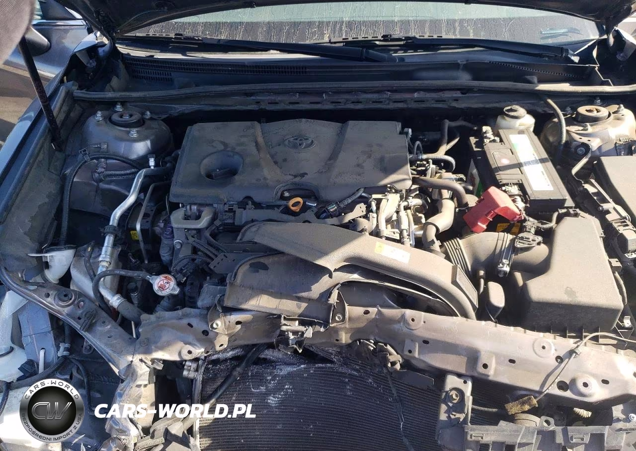 2019 Toyota Camry Se VIN:4T1B11HK9KU179258 - 11