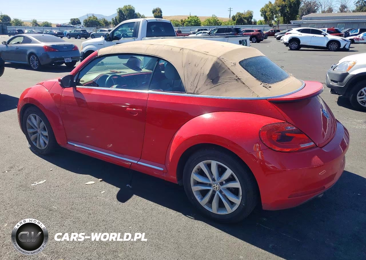 2013 Volkswagen Beetle VIN:3VW5P7AT8DM800368 - 2