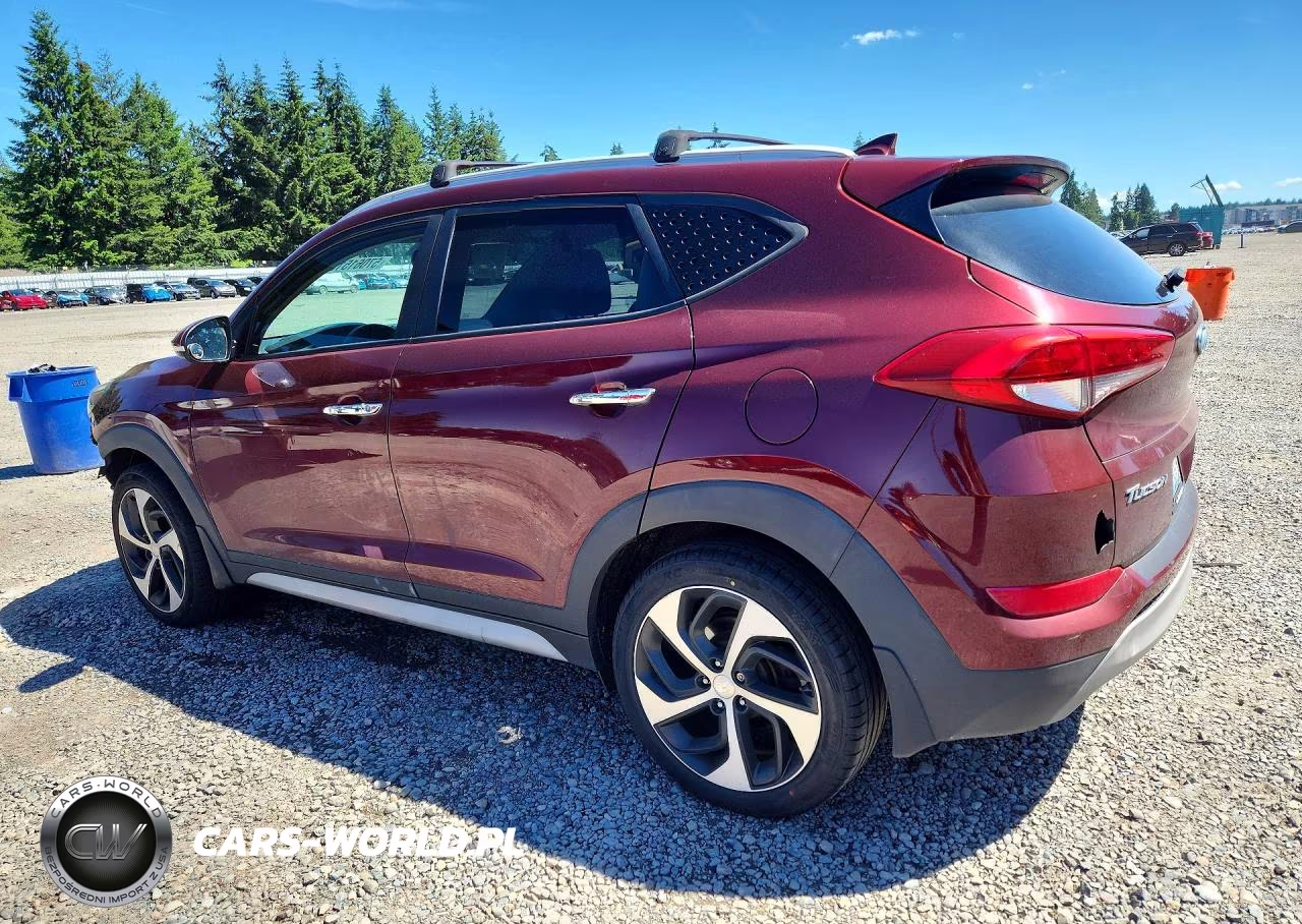 2017 Hyundai Tucson Limited VIN:KM8J3CA25HU533779 - 2