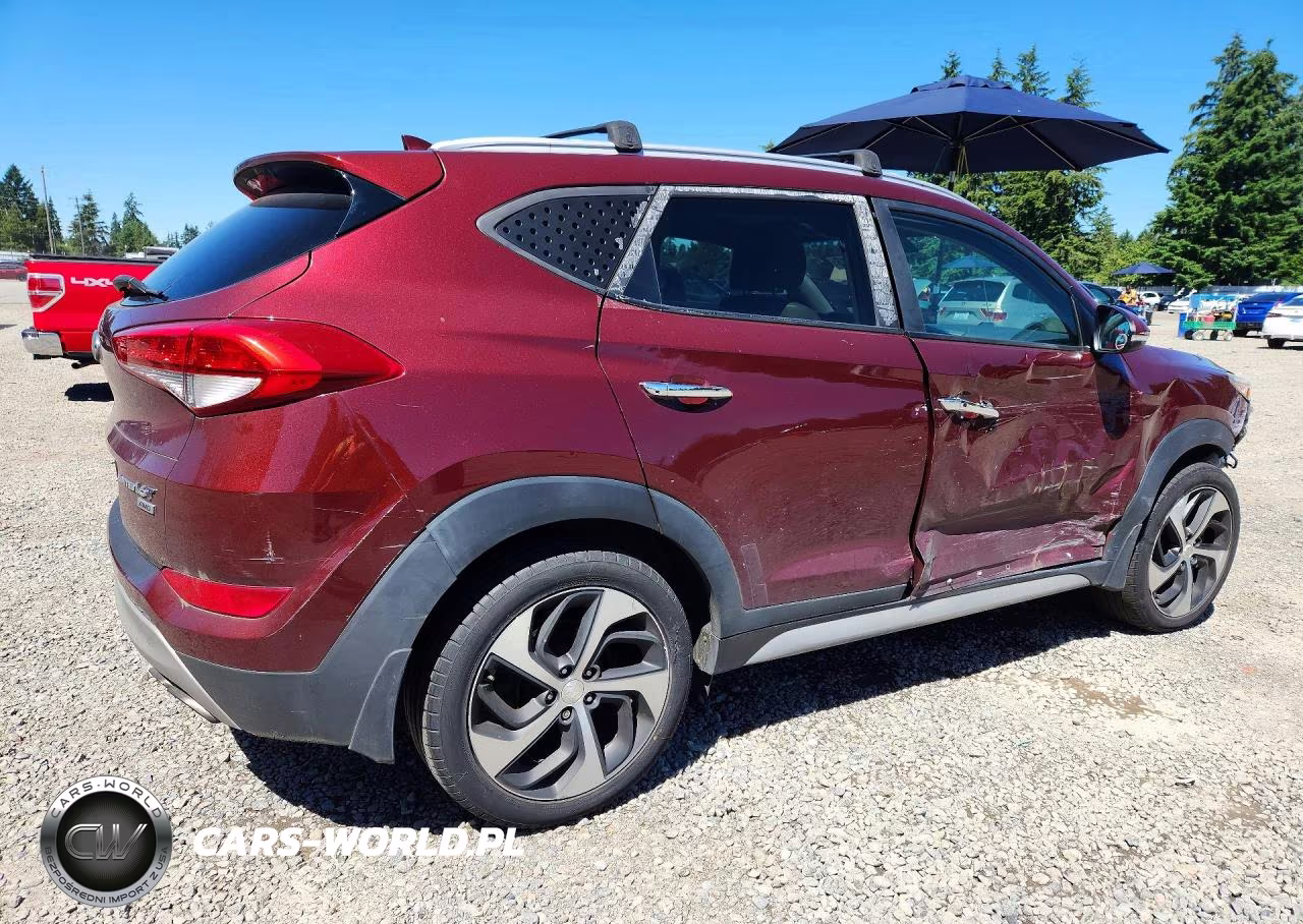 2017 Hyundai Tucson Limited VIN:KM8J3CA25HU533779 - 3