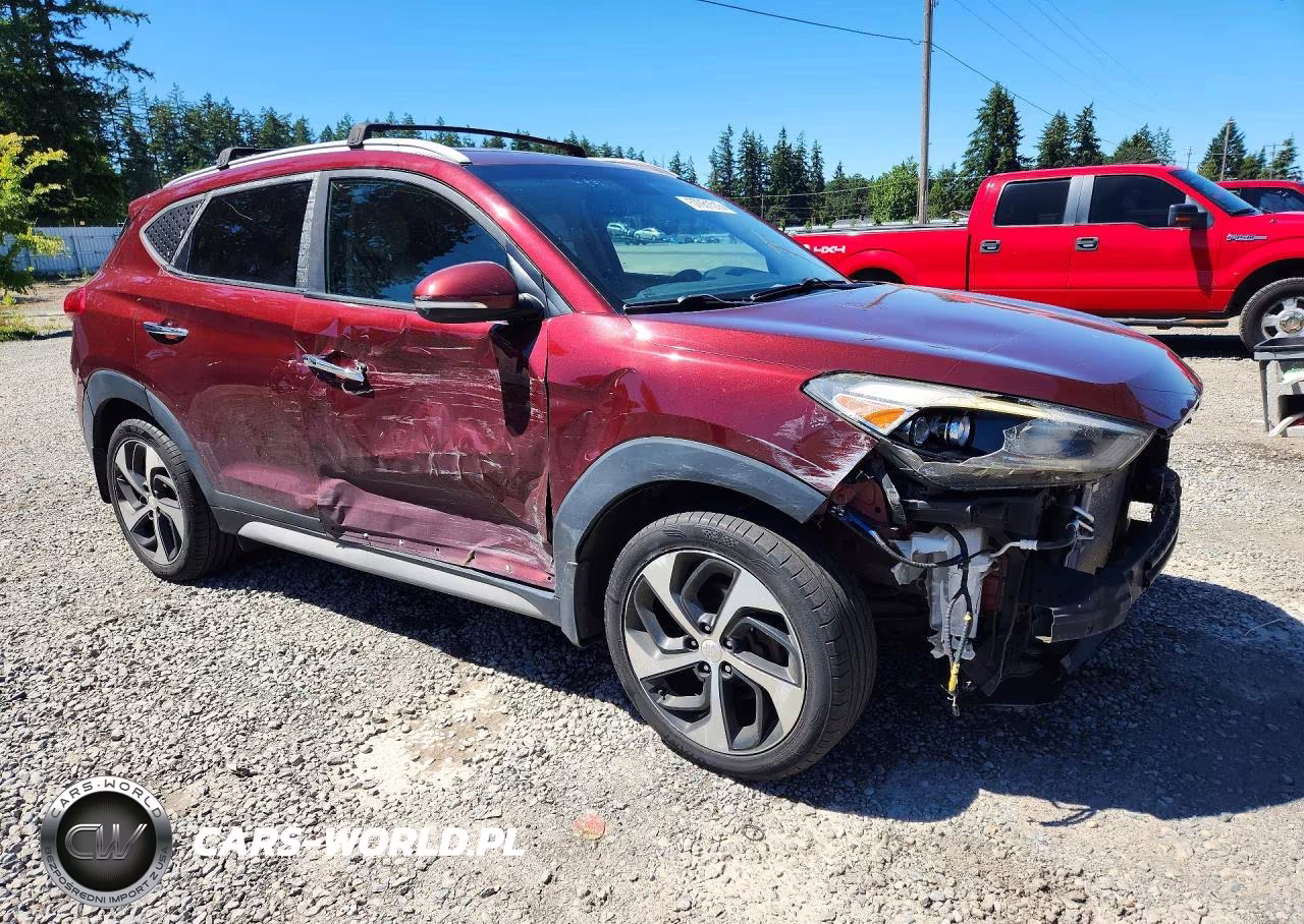 2017 Hyundai Tucson Limited VIN:KM8J3CA25HU533779 - 4
