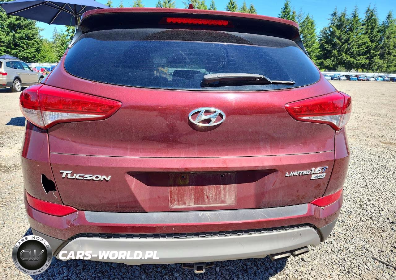 2017 Hyundai Tucson Limited VIN:KM8J3CA25HU533779 - 6