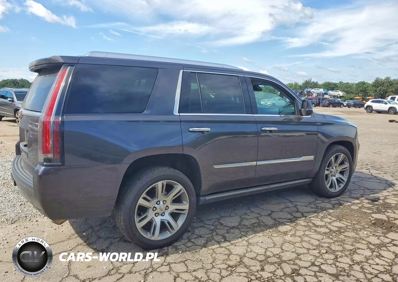 2016 Cadillac Escalade Premium VIN:1GYS4CKJ6GR191699 - 3