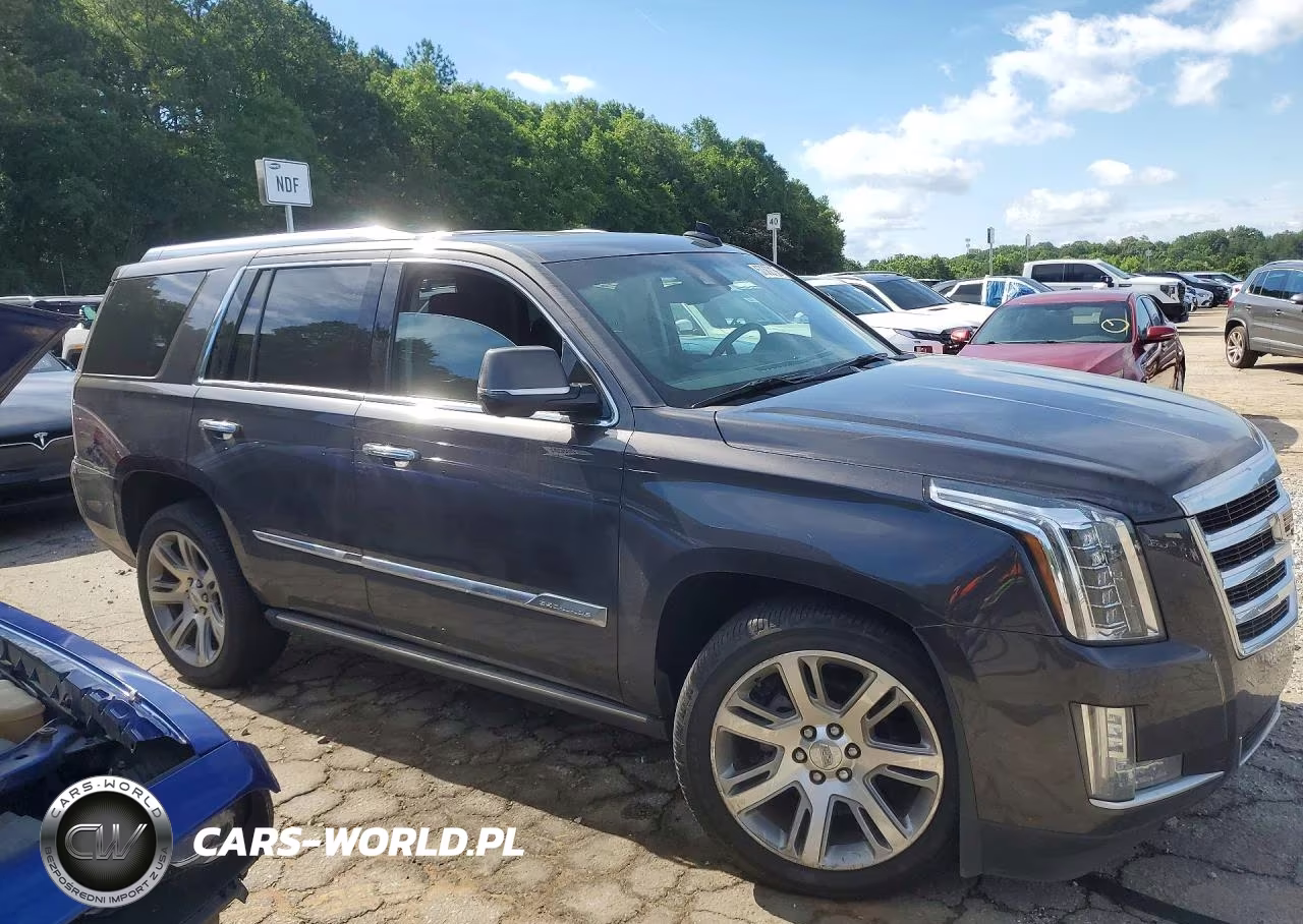 2016 Cadillac Escalade Premium VIN:1GYS4CKJ6GR191699 - 4