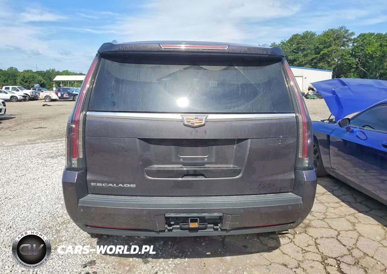 2016 Cadillac Escalade Premium VIN:1GYS4CKJ6GR191699 - 6