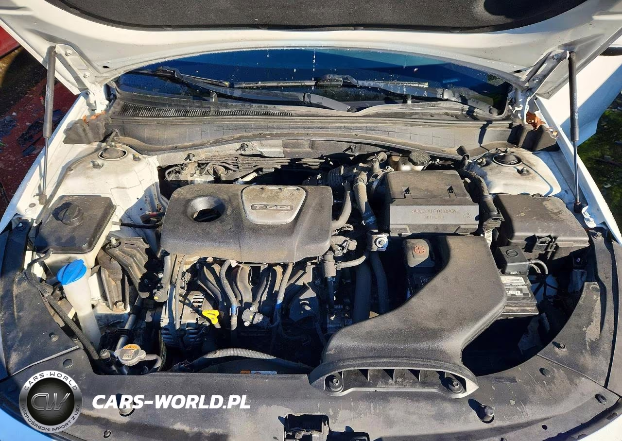 2019 Kia Optima Ex VIN:5XXGU4L1XKG366709 - 11