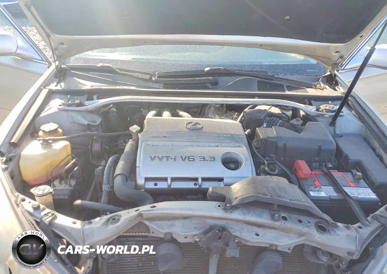 2004 Lexus Es 330 VIN:JTHBA30GX45030456 - 11