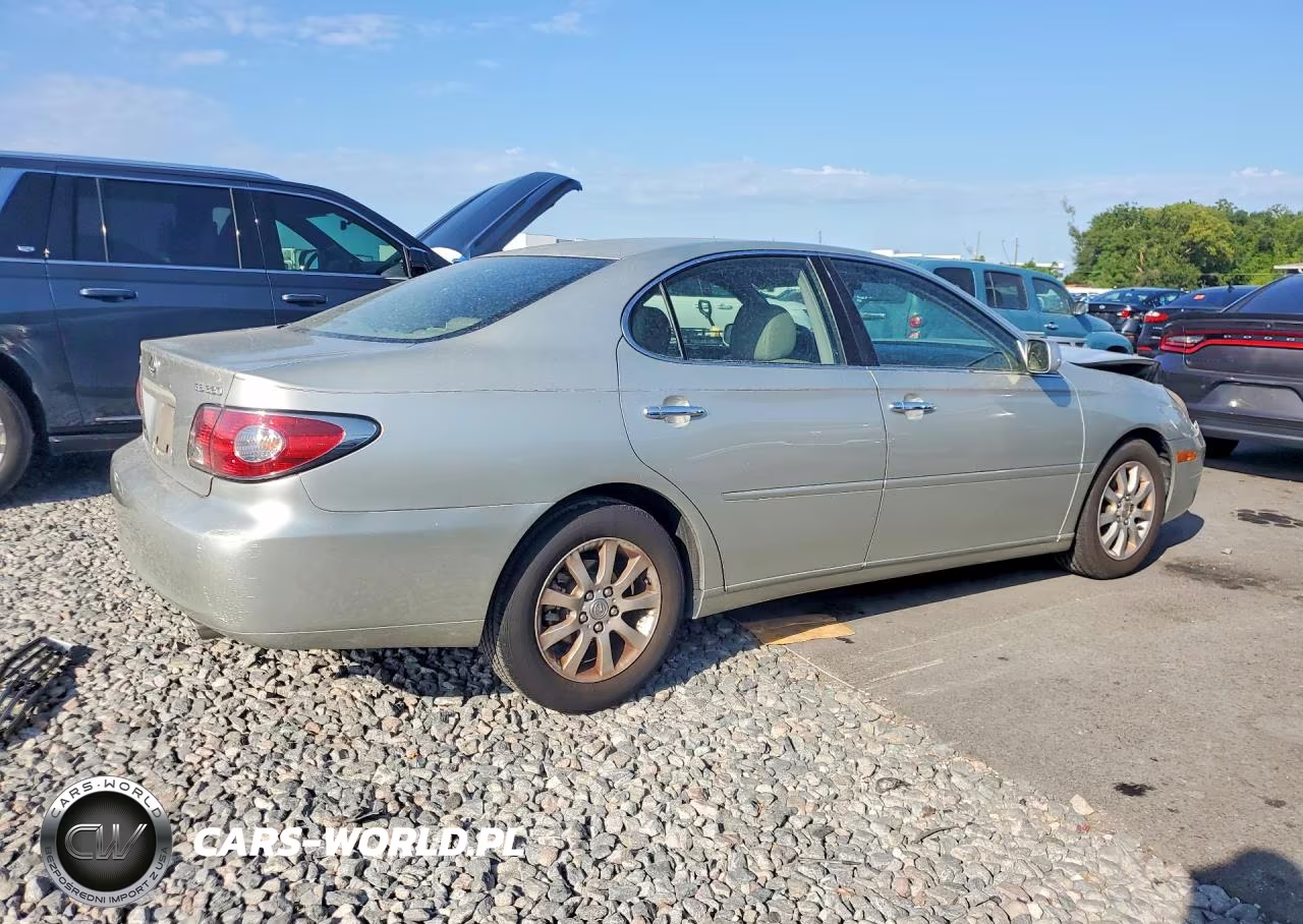 2004 Lexus Es 330 VIN:JTHBA30GX45030456 - 3