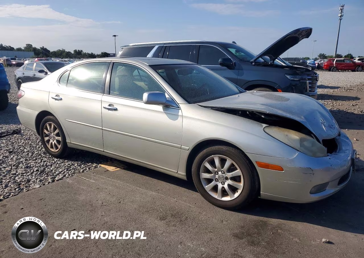 2004 Lexus Es 330 VIN:JTHBA30GX45030456 - 4