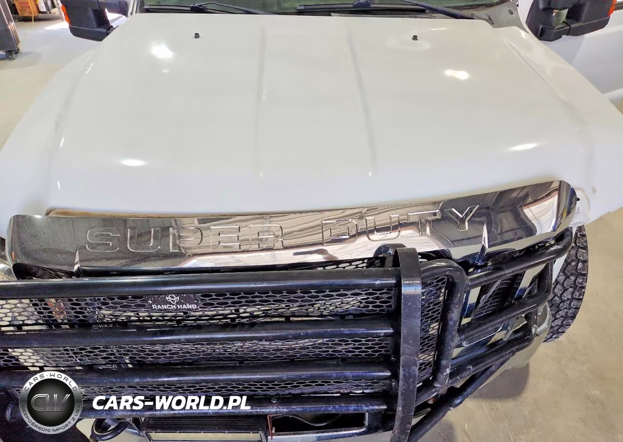 2010 Ford F250 Super Duty VIN:1FTSW2A59AEA54981 - 11