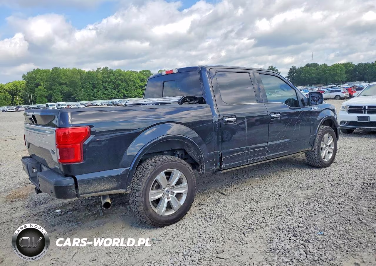 2020 Ford F-150 VIN:1FTEW1E47LFA76824 - 3