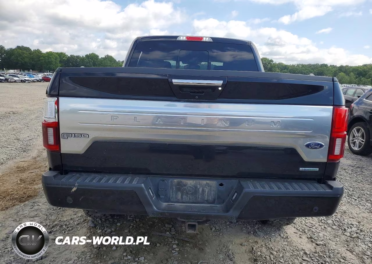2020 Ford F-150 VIN:1FTEW1E47LFA76824 - 6
