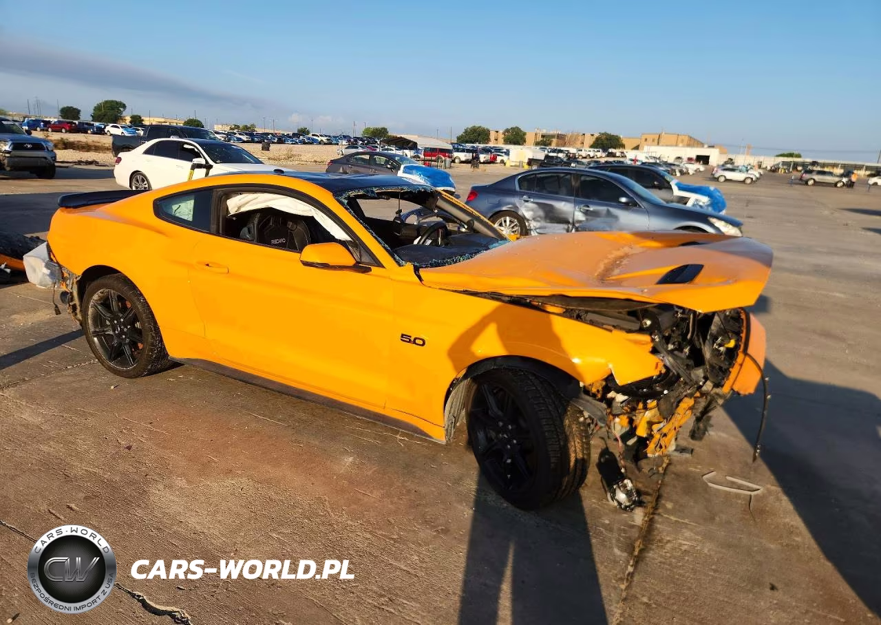 2019 Ford Mustang Gt VIN:1FA6P8CF1K5112614 - 4