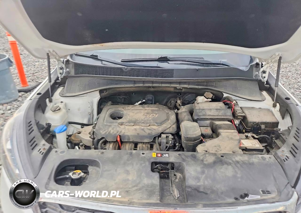 2019 Kia Sorento Lx VIN:5XYPGDA38KG501824 - 12