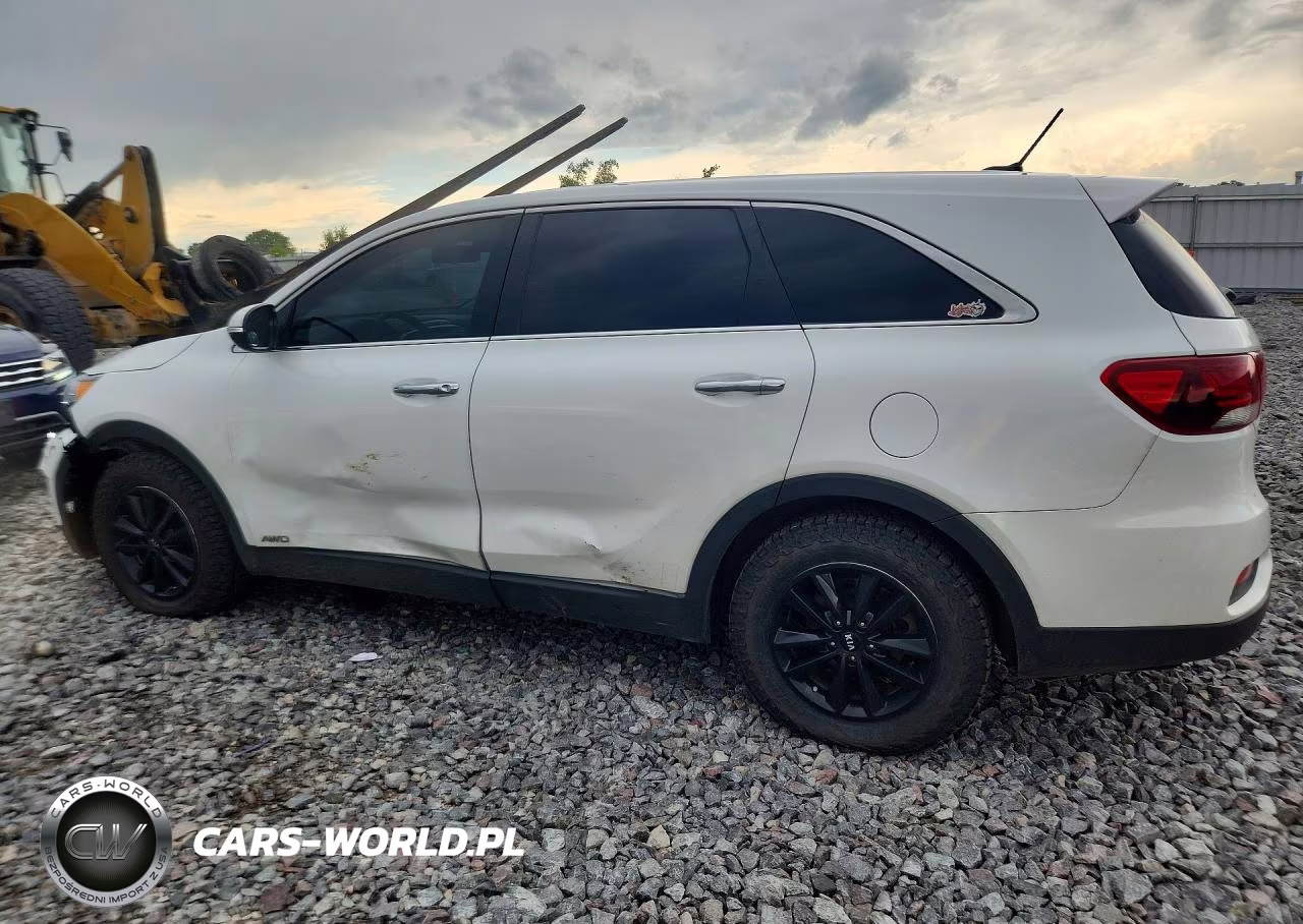 2019 Kia Sorento Lx VIN:5XYPGDA38KG501824 - 2