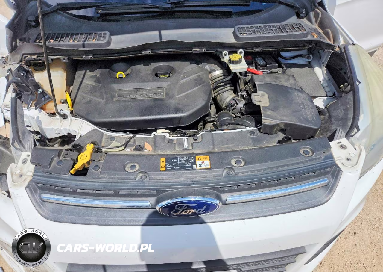 2014 Ford Escape Se VIN:1FMCU0G97EUA63985 - 12