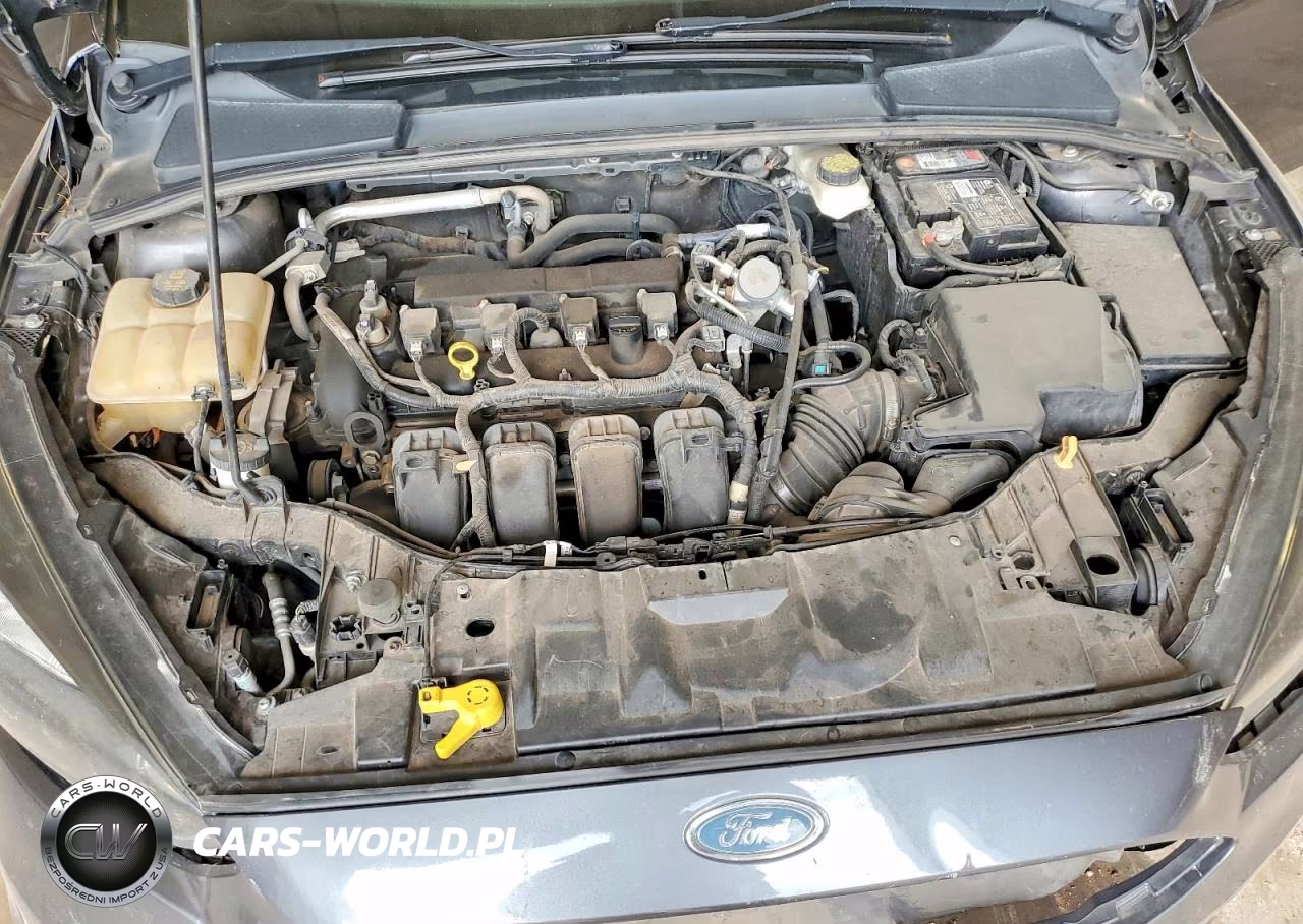 2017 Ford Focus Se VIN:1FADP3F29HL303527 - 11