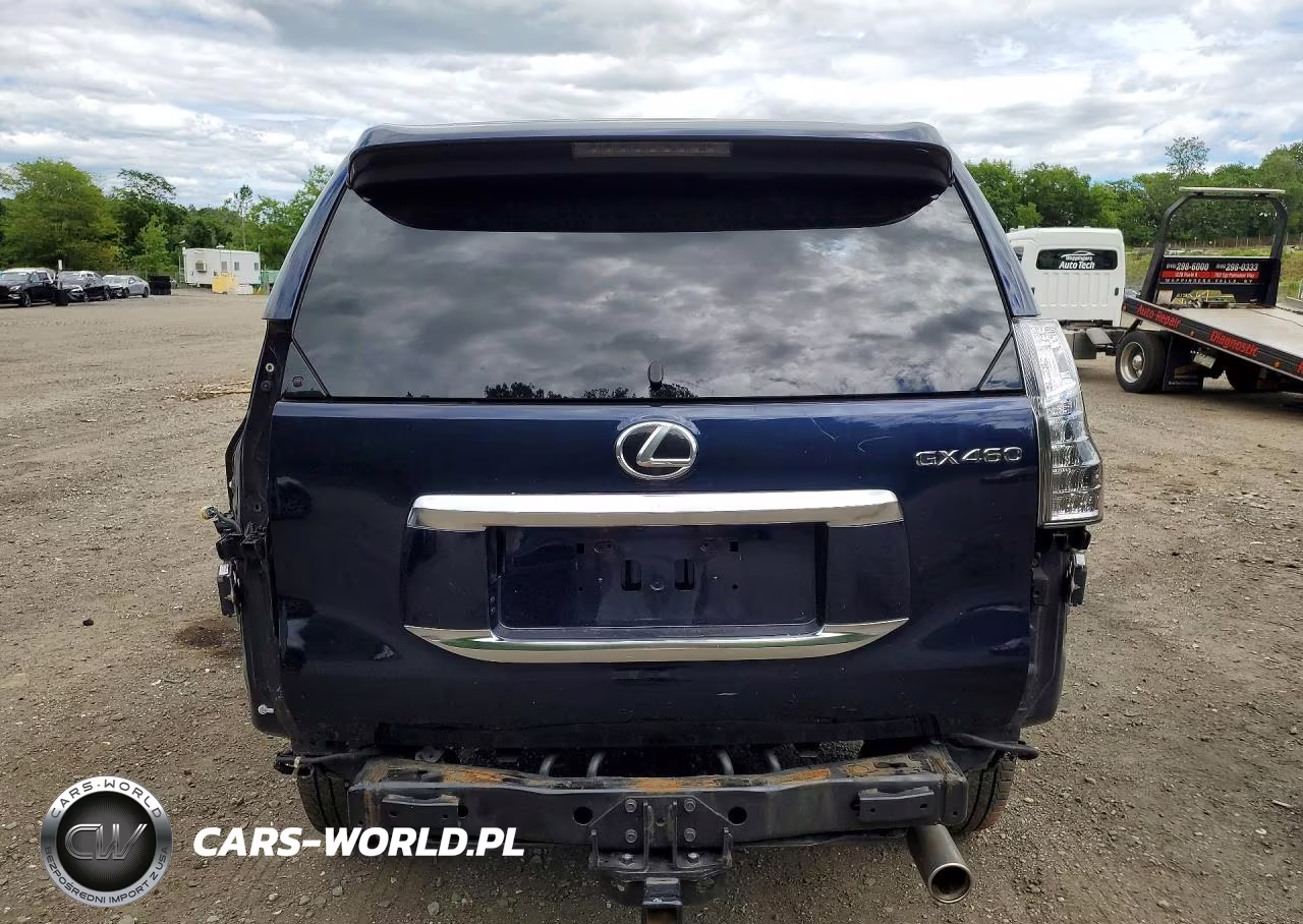 2020 Lexus Gx 460 Premium VIN:JTJAM7BX9L5247954 - 6