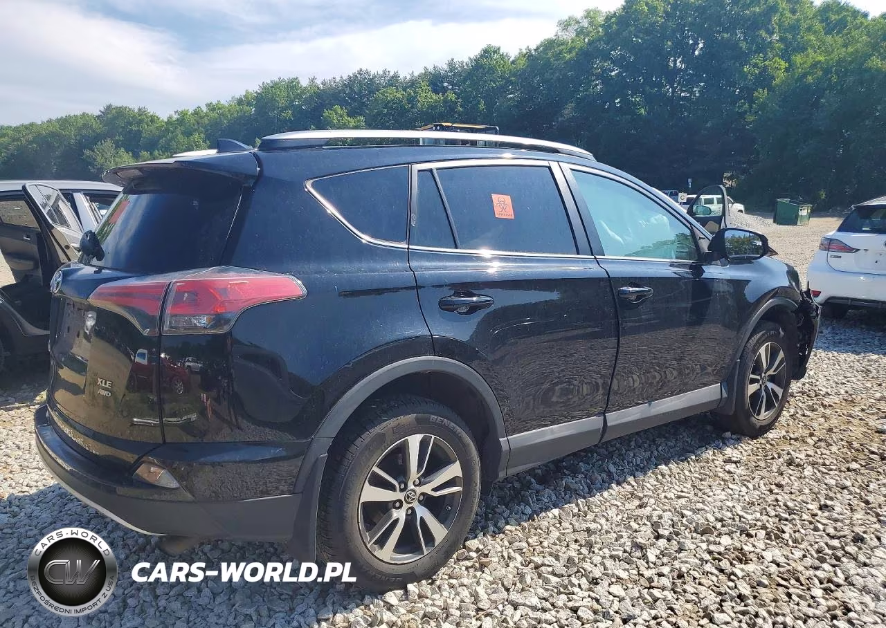 2016 Toyota Rav4 Xle VIN:2T3RFREV9GW459869 - 3