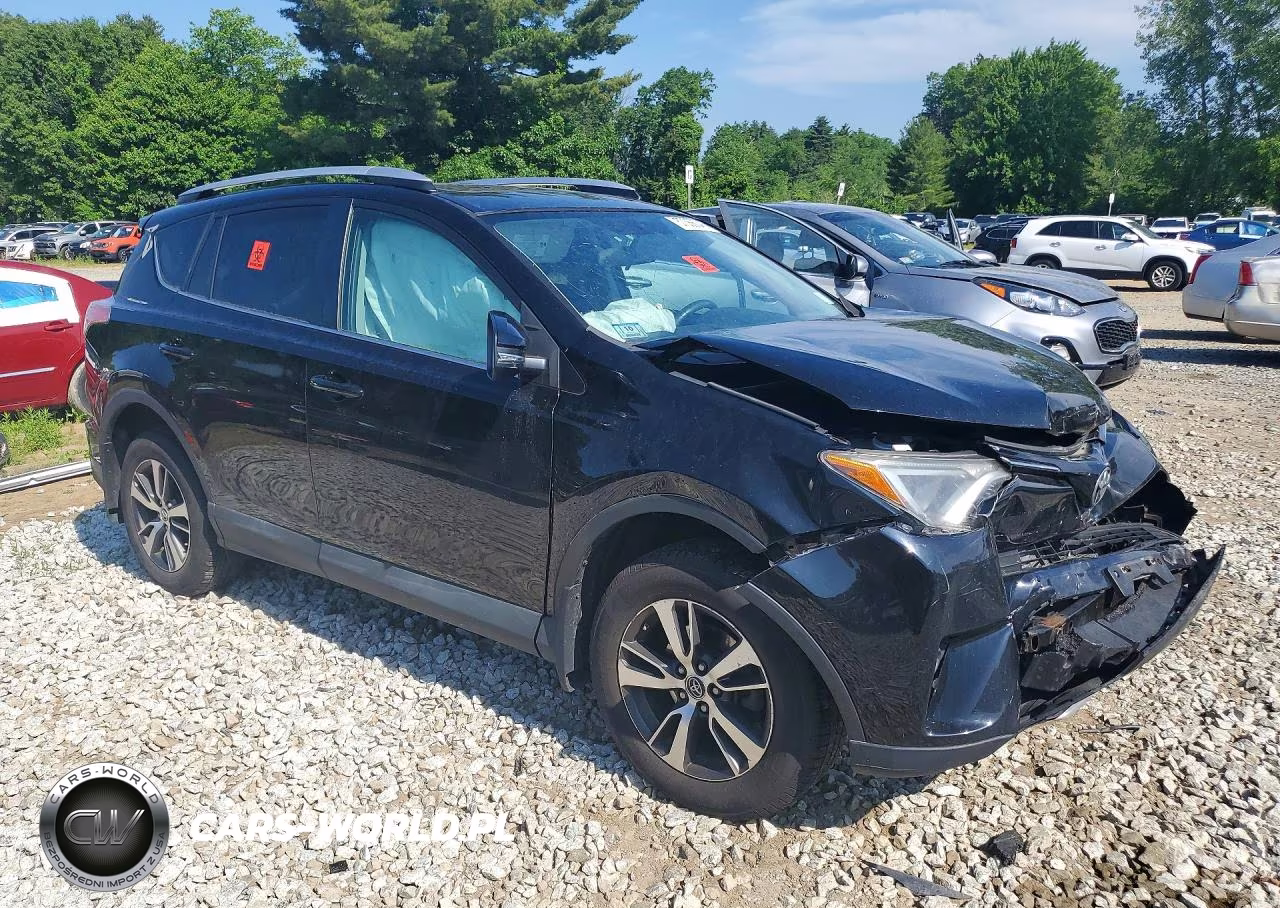 2016 Toyota Rav4 Xle VIN:2T3RFREV9GW459869 - 4