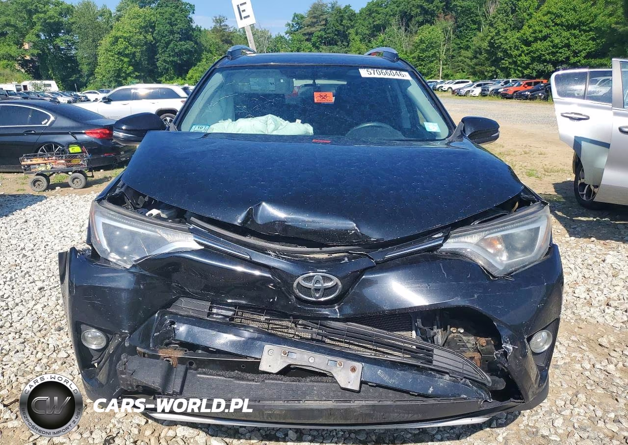2016 Toyota Rav4 Xle VIN:2T3RFREV9GW459869 - 5