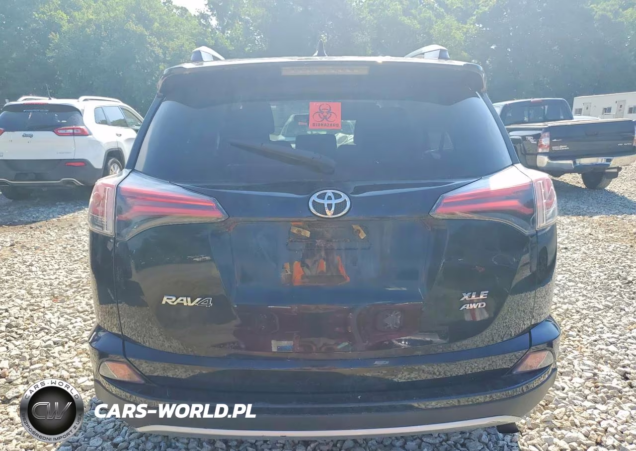 2016 Toyota Rav4 Xle VIN:2T3RFREV9GW459869 - 6