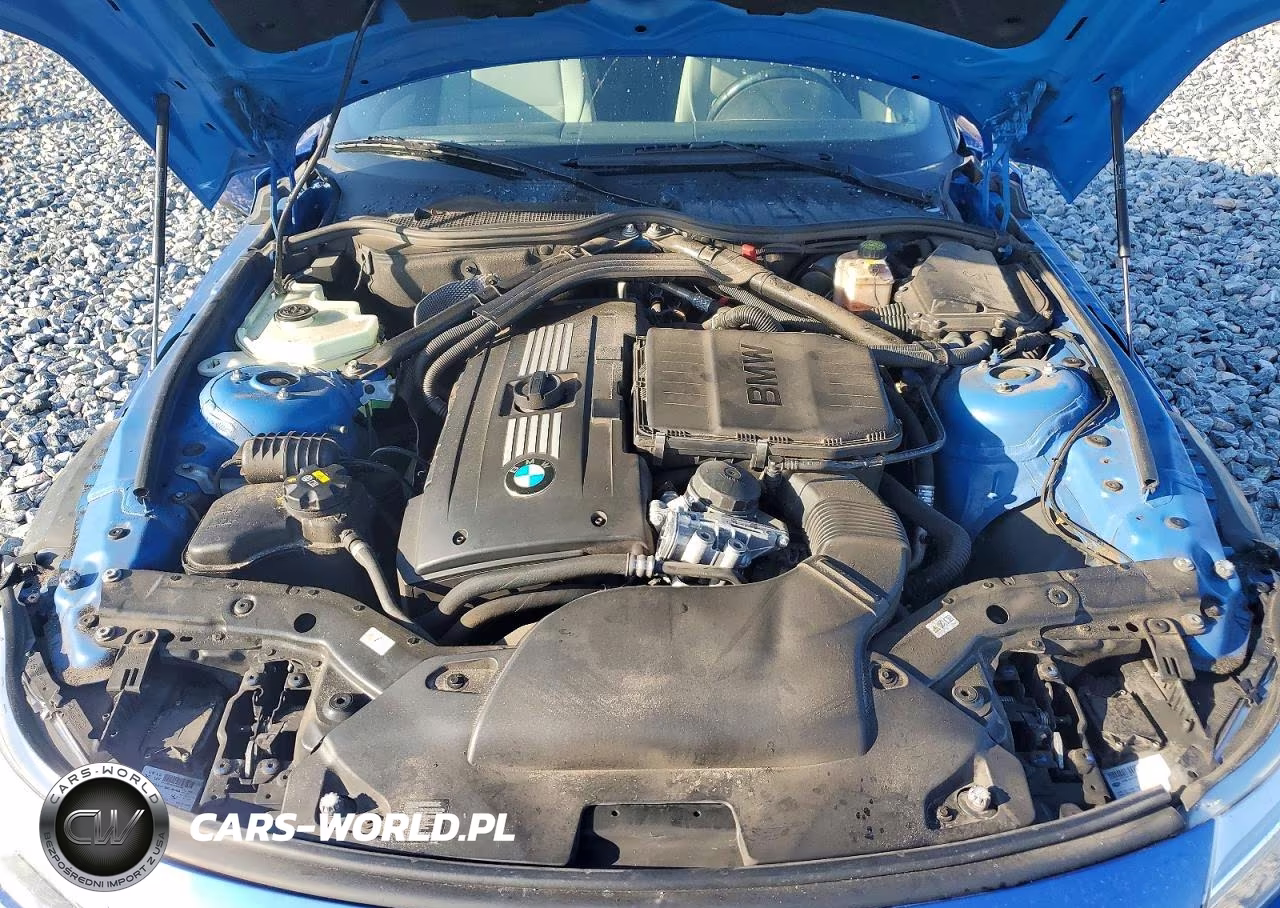 2016 BMW Z4 Sdrive35I VIN:WBALM7C50GJ799426 - 11