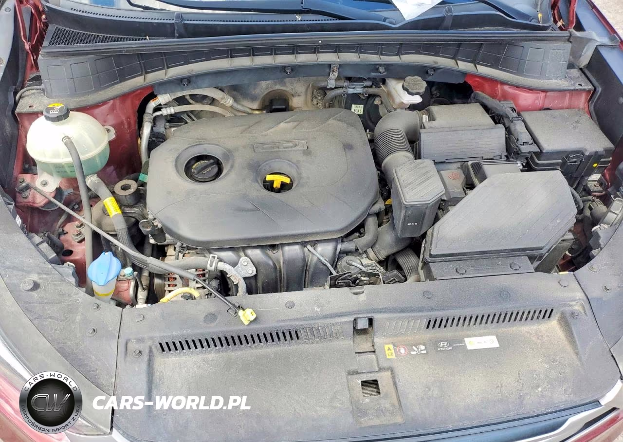 2018 Hyundai Tucson Sel Plus VIN:KM8J3CA49JU635447 - 12