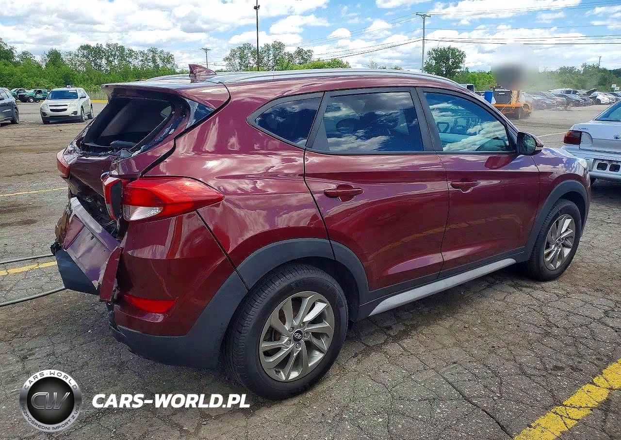 2018 Hyundai Tucson Sel Plus VIN:KM8J3CA49JU635447 - 3